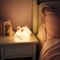 Veilleuse lapin tactile - BunnyTouch