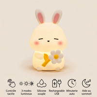 Veilleuse lapin sans fil - RabbitWire