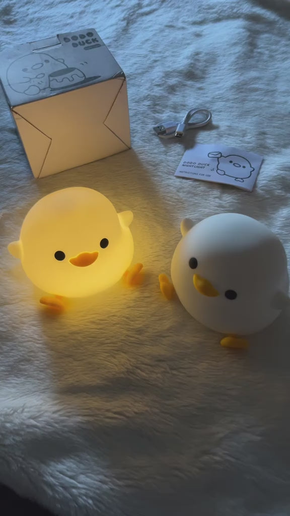 Vidéo