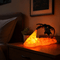 Veilleuse dragon 3D - DragFire
