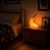 Veilleuse lampe fusée 3D - SpaceRocket